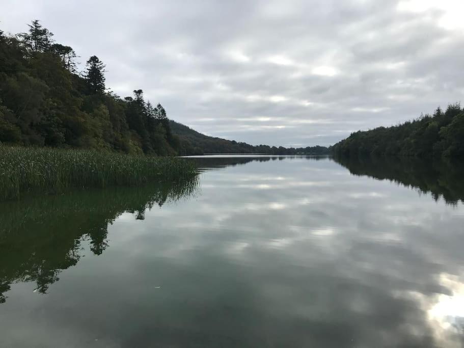 Forest View - Castlewellan, County Down Белфаст Екстер'єр фото