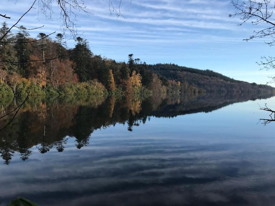 Forest View - Castlewellan, County Down Белфаст Екстер'єр фото